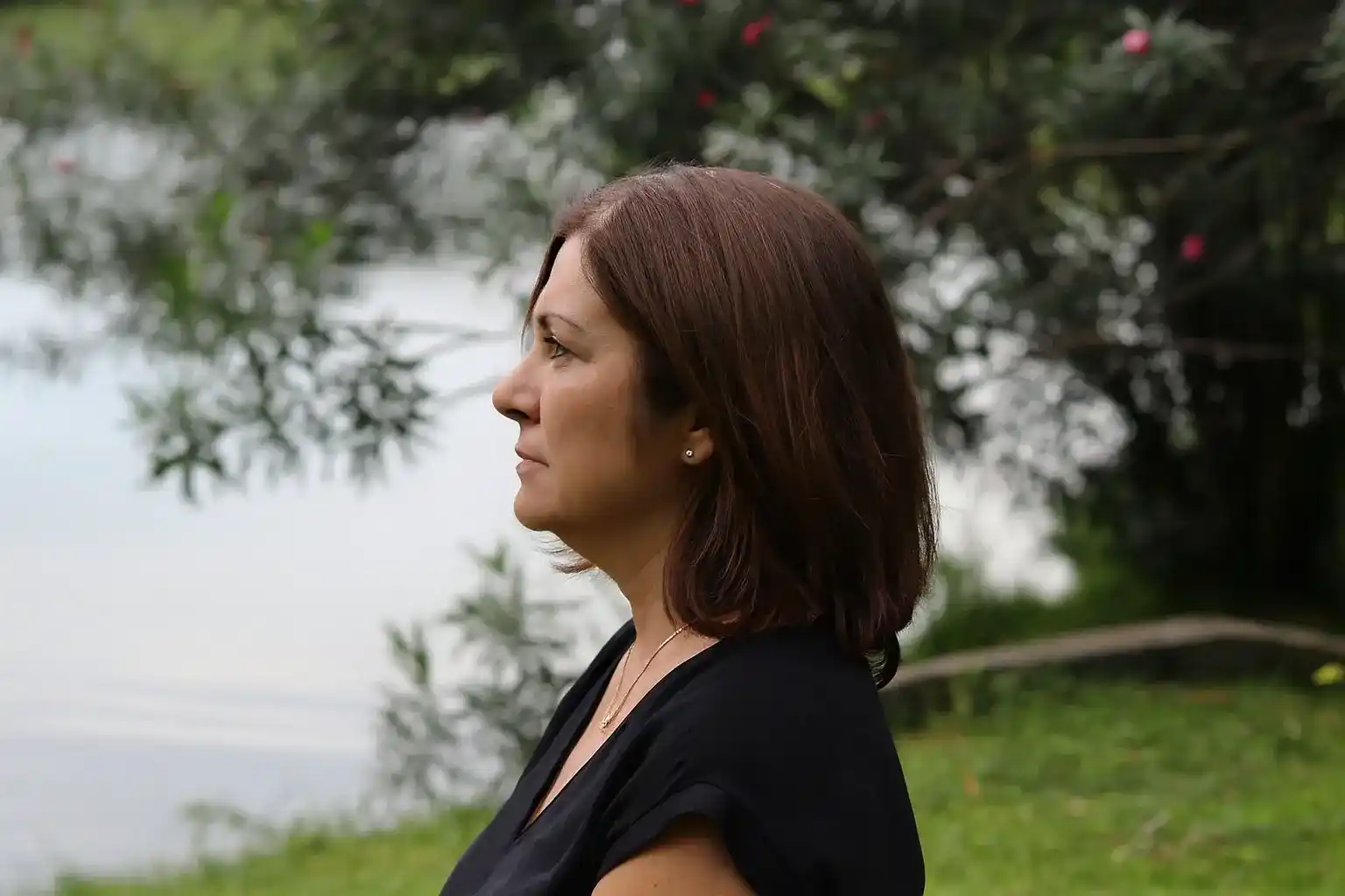 Levium Break Free From Stress Two